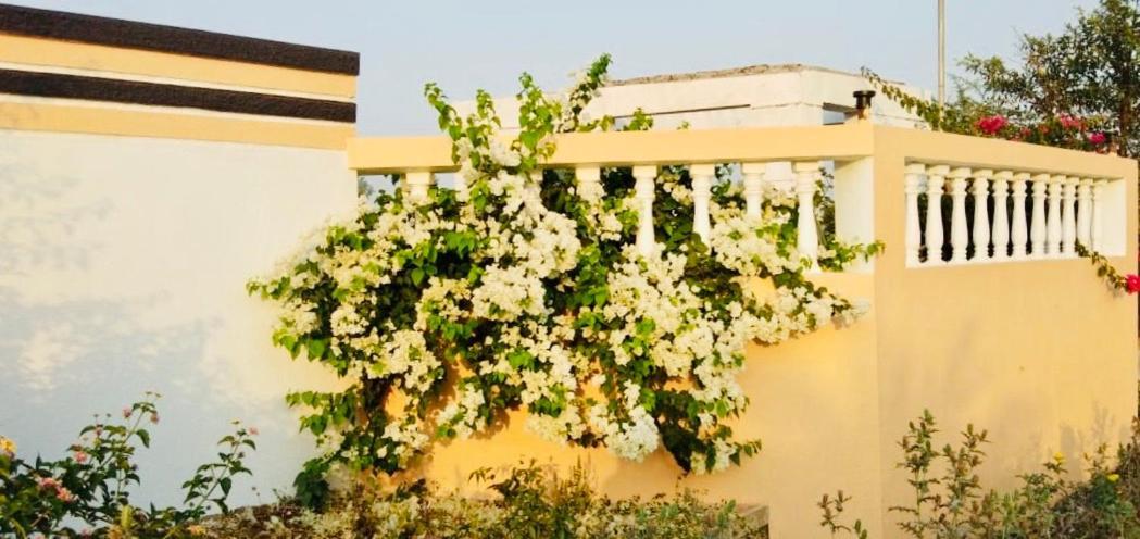 Royal Meadows - Igatpuri Bungalow C Dış mekan fotoğraf